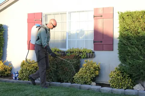 How to Pressure Wash Your House Without Damaging It
