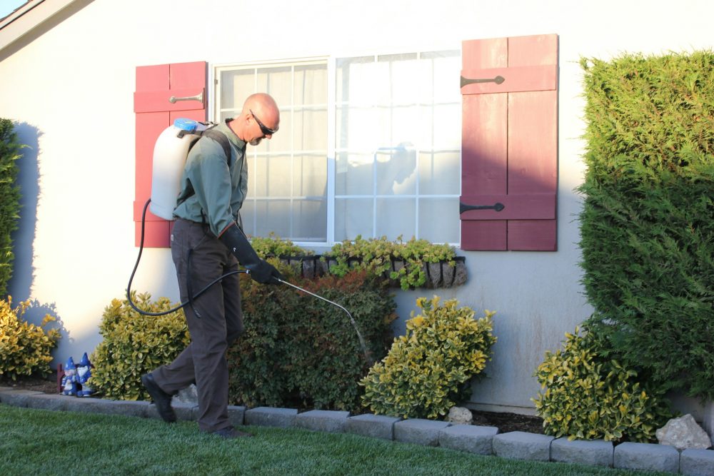 How to Pressure Wash Your House Without Damaging It